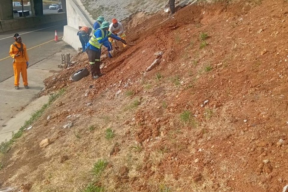 Crew excavating an embankment beneath a highway bridge